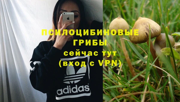 ALPHA PVP Кодинск
