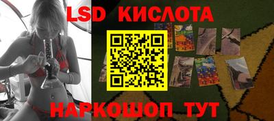spice Новодвинск