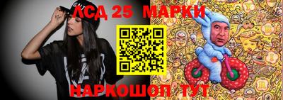 spice Новодвинск