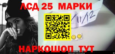 spice Новодвинск