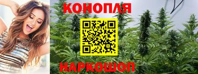 дмт Нальчик