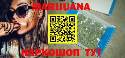 spice Новодвинск