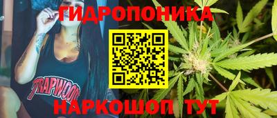 spice Новодвинск
