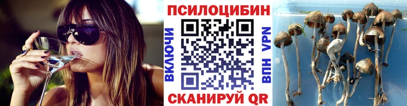 Псилоцибиновые грибы Magic Shrooms Тосно