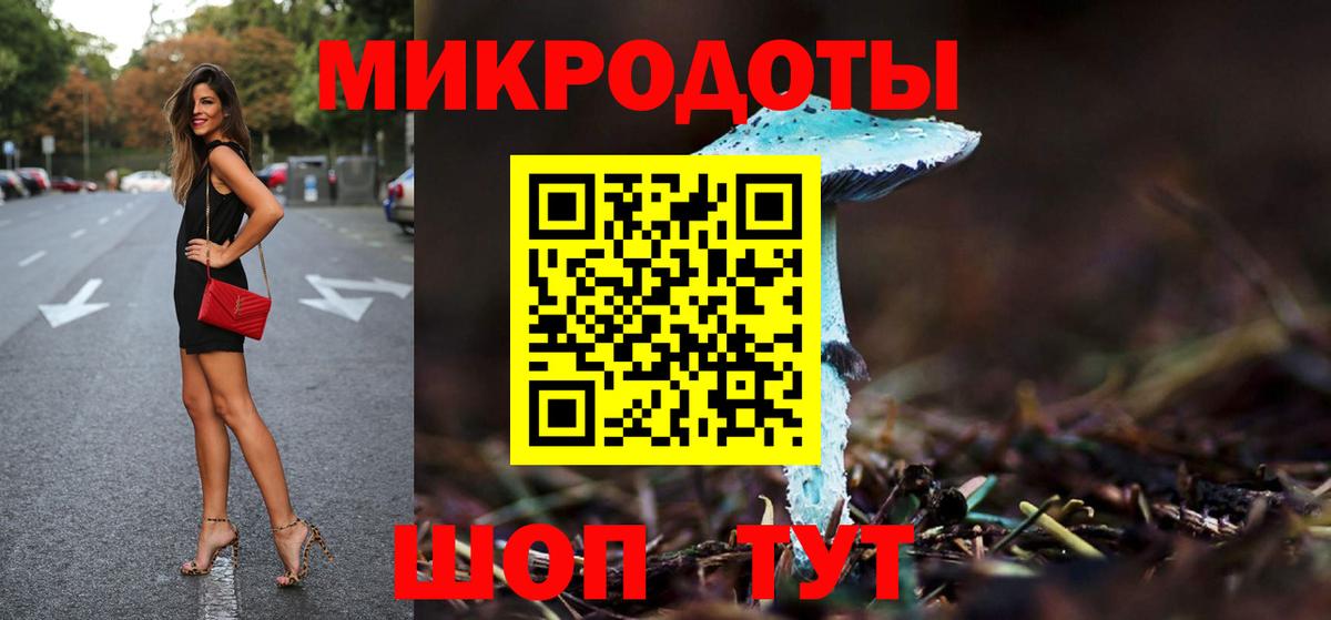 Тосно  Псилоцибиновые грибы Cubensis  Вход с VPN 