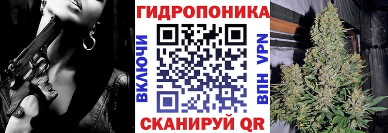 Конопля марихуана  Тосно 